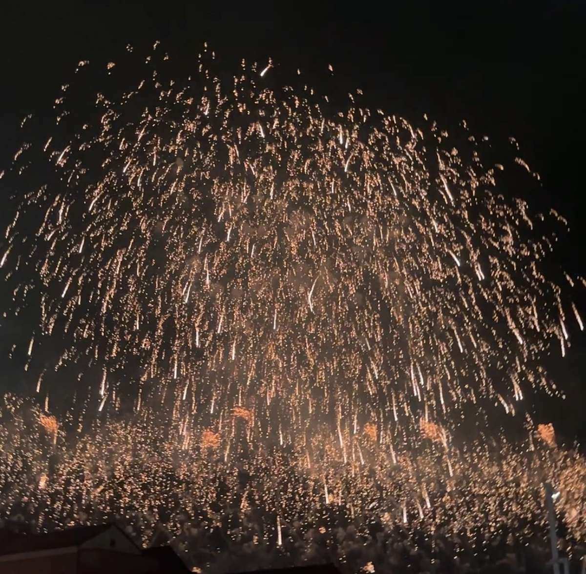 大きく開いた打ち上げ花火。手前には低い位置で連続して上がる花火も見える