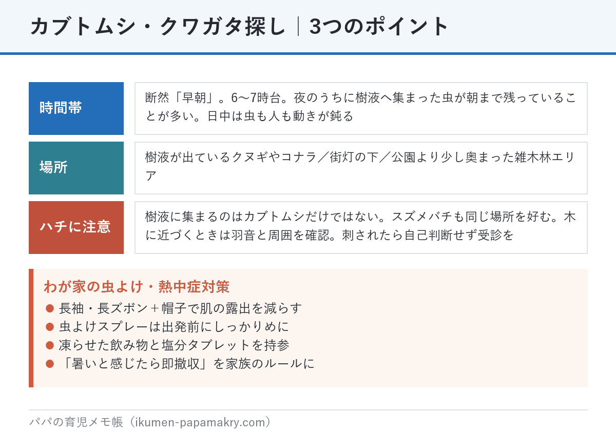 カブトムシとクワガタ探しの3つのポイント。時間帯は早朝6〜7時台、場所は樹液の出ているクヌギやコナラと街灯の下、スズメバチに注意。虫よけと熱中症対策も