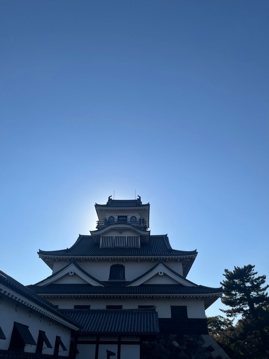 青空の下の長浜城の天守を下から見上げた写真